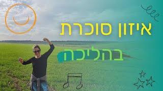 איזון סוכרת באמצעות הליכה