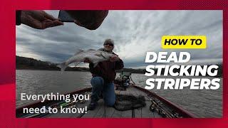 Everything you need to know about dead sticking for winter time stripers including lures & jig heads