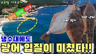 광어가 쉬지 않고 입질한다! 서프초보, 냉수대 무시하고 고기잡히는 포인트!!ㅎ  #fishing #포항낚시 #서프루어 #동해낚시 #낚시포인트 #양태 #회무침 #갯바위낚시 #성대