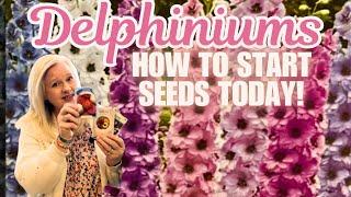 🩷EPIC BUDGET garden! SEED STARTING! 🩷Growing from seeds #delphinium #seeds #diy