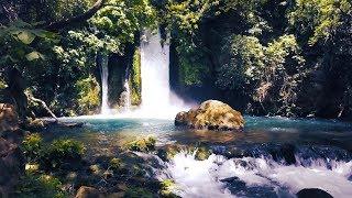 Banias Waterfall, Israel מפל הבניאס ‬‎- 4K drone - OKMediaProducties