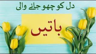 Quotations about life - Dil ko chu jane wali batein  - Anmol moti in urdu 2019