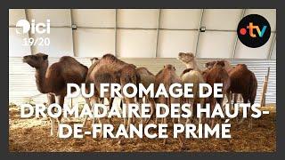 Un éleveur de dromadaires du Nord primé pour son fromage au Kazakhstan