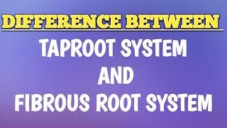 Difference between Taproot system and Fibrous root system/#science .