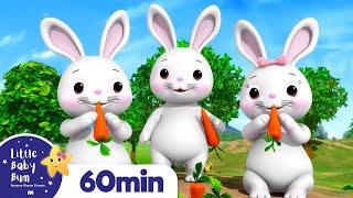 Bunnies, Bunnies +More Nursery Rhymes and Kids Songs | Little Baby Bum