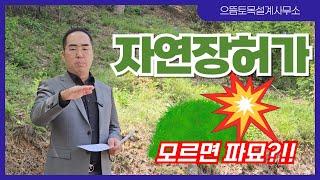 #자연장허가 이 3가지 모르면 파묘됩니다!!