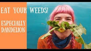 Crisis Gardening: Eat Your Weeds (especially dandelion)!