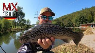 Spoons Wobbler und Gummi/ Präsentieren und richtig führen Forellenfischen/ UL / Trout Area