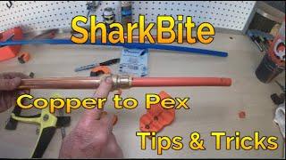 How to connect Copper to Pex using SharkBite Fittings...