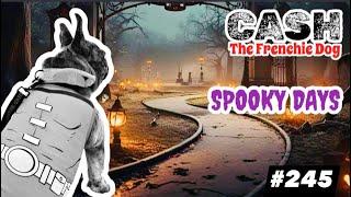 French Bulldog daily walking CASH ARCHIVALDO spooky days Halloween super héroe Hero #245