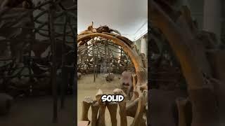 ️ Yachts Even Billionaires Can’t Afford | Insane Luxury Lifestyle USA & UK 2025 