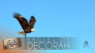 EP 708 | The Eagles of Decorah