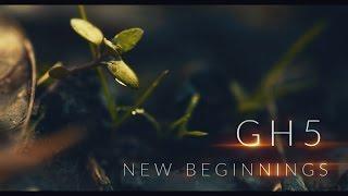 New Beginnings | Panasonic GH5 | Metabones Speedbooster | Rokinon Lenses