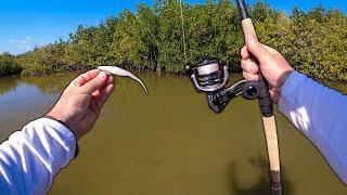 Fishing Florida Backwaters for Redfish and Snook with a Fluke!