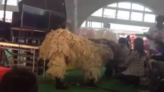 創作太鼓集団 心-SHIN-
