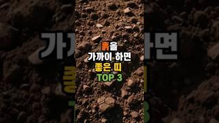 흙을 가까이하면 좋은띠 세가지