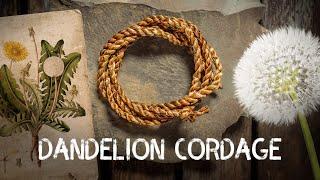 Dandelion Cordage | Cordage from foraged fibres | Ep 3