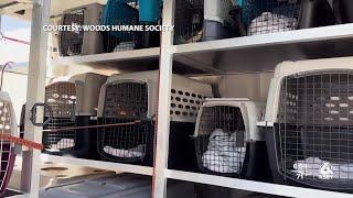 How Central Coast animal shelters are helping SoCal shelters impacted by wildfires