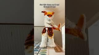 Lonely lonely #dance #tiktok #furry #antizoo (sorry Ik it’s bad I’m out of video ideas lol )