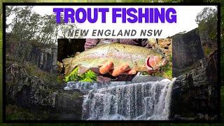 TROUT FISHING EBOR NSW !!  2024