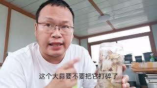 大蒜皮教你自制“钙磷肥”，比磷酸二氢钾好！