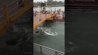 Ganga Maiya!!  haridwar uttarakhand!!