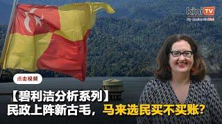 新古毛：马来选民对民政无感 希盟主打大臣盼助选情