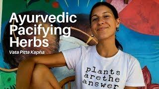 Vata Pitta Kapha Pacifying Herbs | Balancing Ayurveda Basics | Clareminded