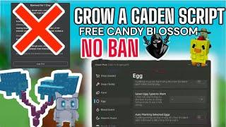 TOP Grow a Garden Dupe Script [ Blood Moon] – vxezze Hub | AUTO FARM | DUPE FRUIT | NO KEY NEEDED