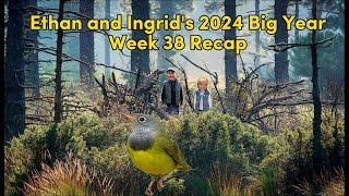 Ethan and Ingrid's 2024 Big Year (Week 38)