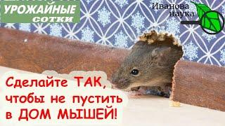 ВАШ ДОМ - ВАША КРЕПОСТЬ! Защитите свой дом от посягательств и сделайте свою жизнь ЛУЧШЕ!