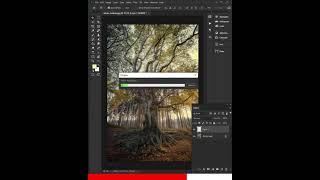Sun rays effect through trees in Photoshop 2021 #Shorts