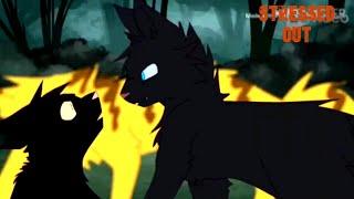 Warrior cats-Stressed out