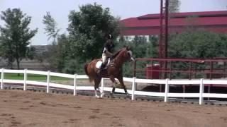 Janelle Johnson & Royal Cootitan - Stadium - Roebke's Run HT 2011