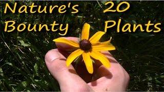 20 Edible & Medicinal Plants In 10 Minutes