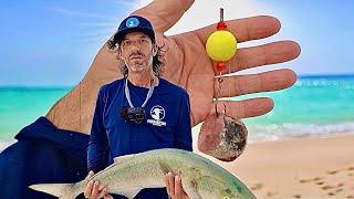 I Used Giant Floats to Catch Giant Fish Off The Beach.