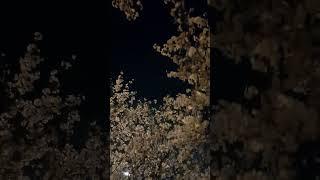 #김용빈 #나아직도그대기다리고있다면