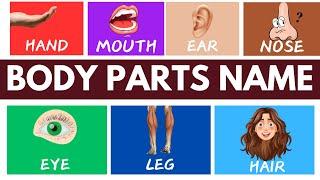 Learn parts of Body Name | Body Parts | Baby Parts Name | Body Parts Name For kids | M L Cartoon