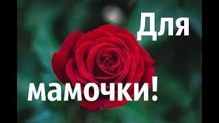 С дем мамы.#счастья#мама#любовькмаме мама,