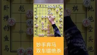 彪哥讲棋：56炮对单提马双车错绝杀 平顶冠绝杀 八卦阵子子生根