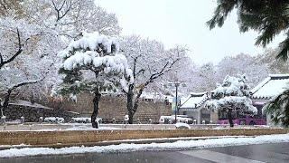 [4K] Walking on Snowy Roads, Palpan-gil, Samcheong-ro, and Cheongwadae-ro in Seoul