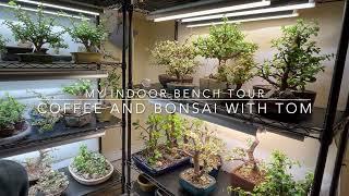 Indoor Bonsai Bench Tour - Bonsai All Winter Long! (LED indoor bonsai setup)