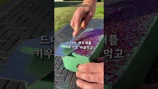 앵무새가 키우고 싶었던 여자