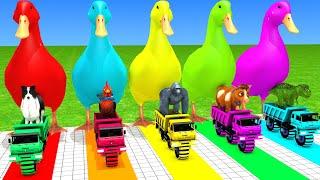 5 Giant Duck Cartoon, Cow, Mammoth, Elephant, Lion, Paint Wild Animals Crossing Fountain Animation