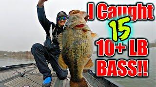 Catching 15 DOUBLE DIGIT Bass in 35 Minutes