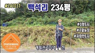 연천땅 연천토지 연천군 미산면 백석리 필지234평 계획관리지역/전 #241031