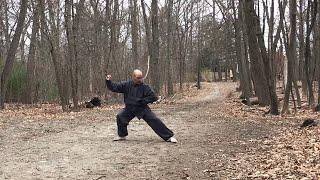 Yilu 4.14.18 Marin Spivack Chen Shi Taijiquan Gongfu Jia 2018 陈氏太极拳