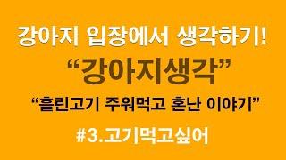 강아지생각ㅣ흘린고기 주워먹고 혼난 이야기! 3편