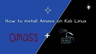 How to install amass on kali linux | BugBounty tool | Subdomain Discovery Tool