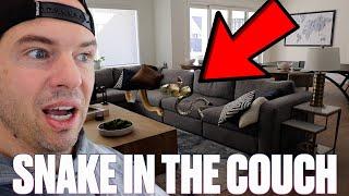 WE FOUND A SNAKE IN OUR COUCH! YOU WON'T BELIEVE HOW IT GOT THERE! SNAKES IN THE HOUSE